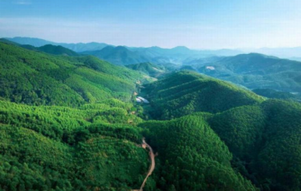 广西巴马县国家储备林扶贫PPP项目（4.56亿元）